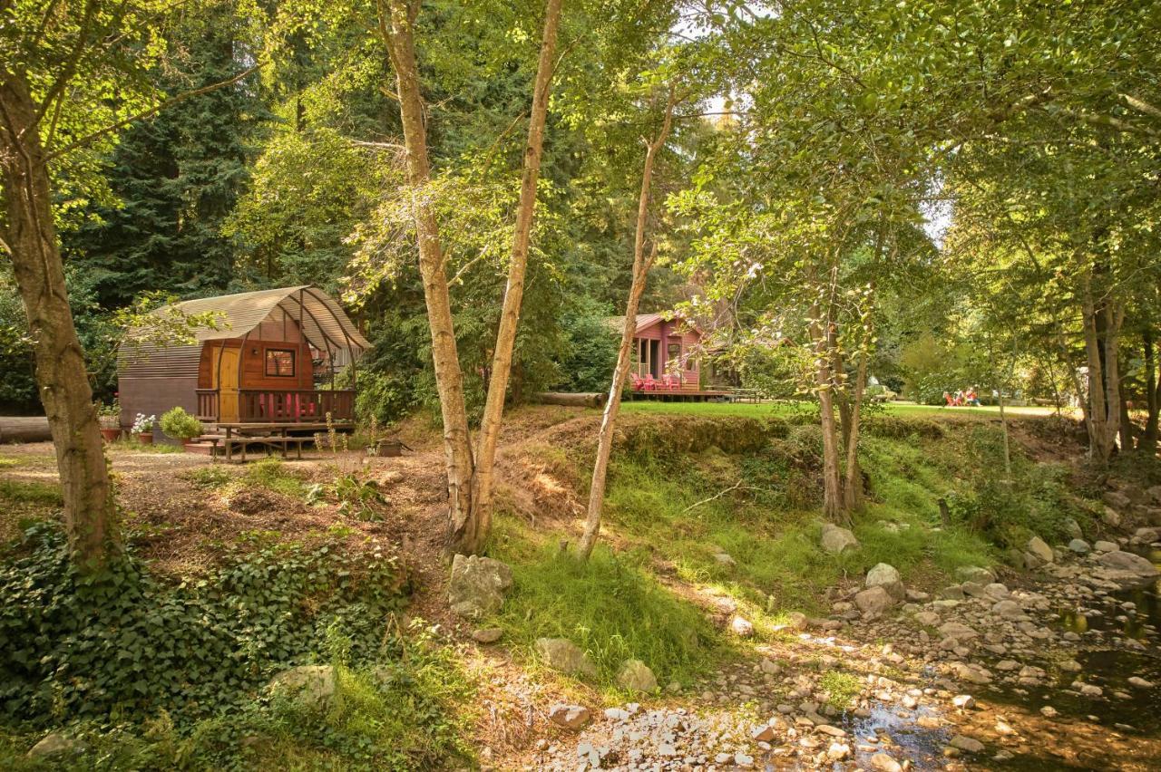 Big Sur Campground And Cabins Exterior foto